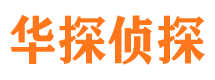 达日市侦探公司